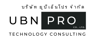 UBNPro — Technology Consulting